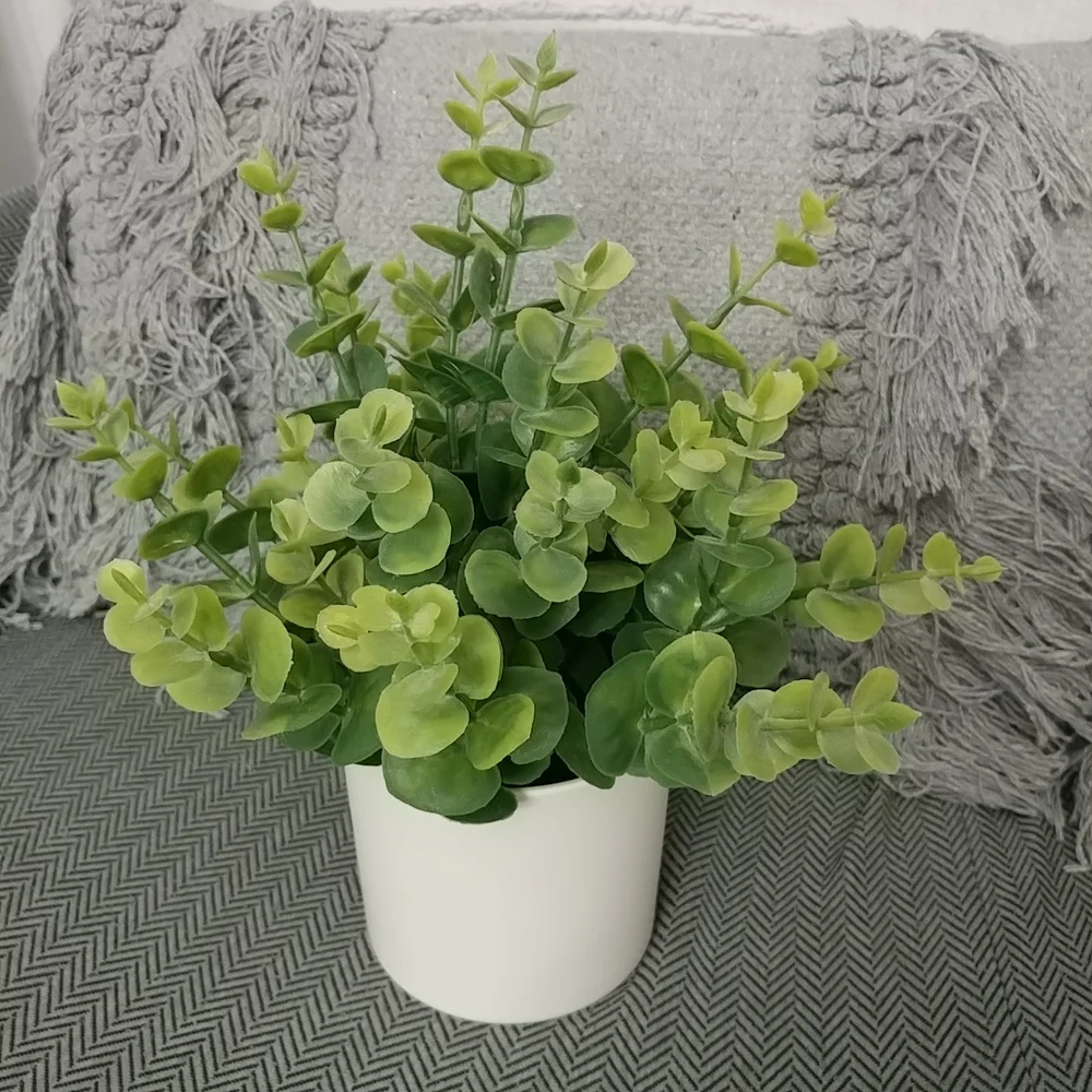 Boxwood Faux Plant Artificial Green Boxwood Arrangement White Planter- Threshold